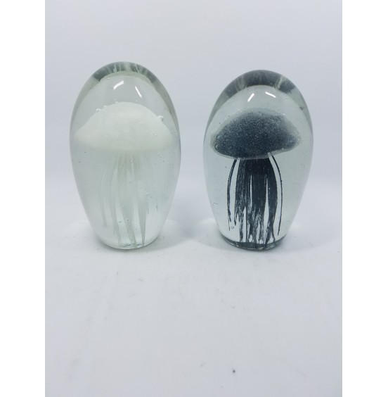 SÜLFİT DENİZANASI SİYAH+BEYAZ  8x13,5cm SET 6