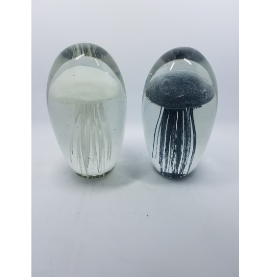SÜLFİT DENİZANASI SİYAH+BEYAZ  9x16CM SET4