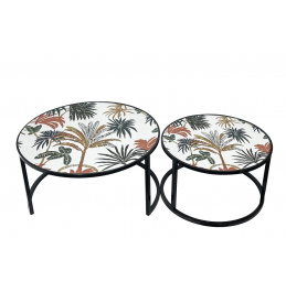 S/2 SEHPA 76x41CM/60x36CM S/2 SEHPA 76x41CM/60x36CM