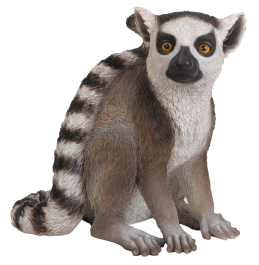 REÇİNE LEMUR 36x24x33,5CM