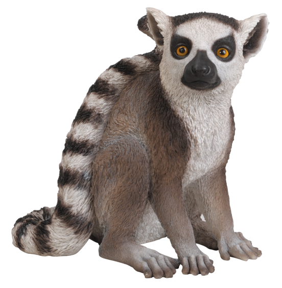 REÇİNE LEMUR 36x24x33,5CM