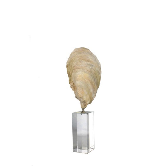 CAM TABAN ÜZERİNDE REÇİNE KABUK 39CM