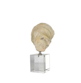 CAM TABAN ÜZERİNDE REÇİNE KABUK 23CM CAM TABAN ÜZERİNDE REÇİNE KABUK 23CM