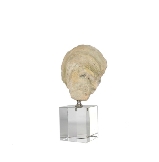CAM TABAN ÜZERİNDE REÇİNE KABUK 23CM