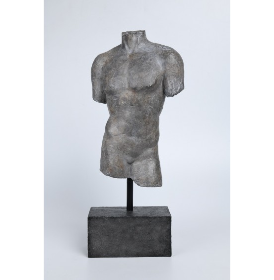 GRİ REÇİNE ERKEK BUST 45CM