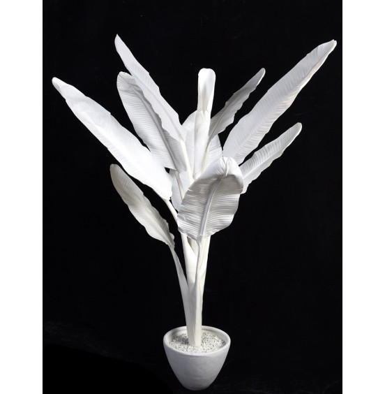 SUNİ BEYAZ MUZ AĞACI SAKSI 220CM