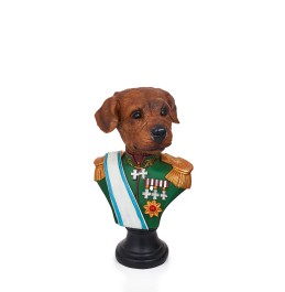 BOXER