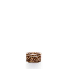 LEOPAR DETAY KUTU