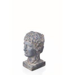 GRİ REÇİNE ÇİFT BAŞLI JANUS 