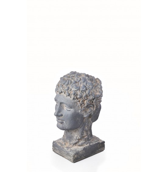 GRİ REÇİNE ÇİFT BAŞLI JANUS 