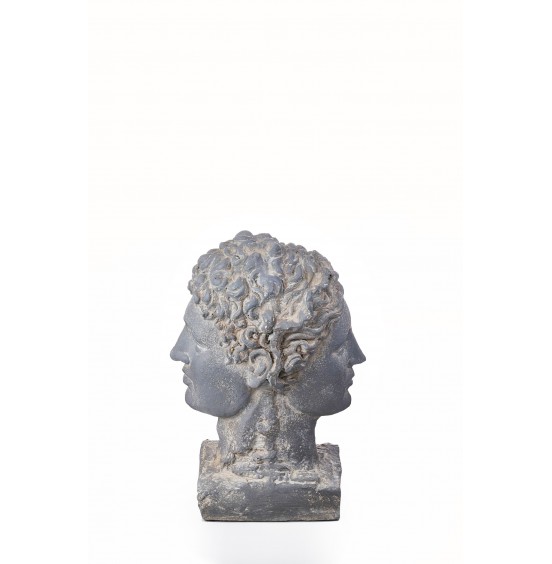 GRİ REÇİNE ÇİFT BAŞLI JANUS 