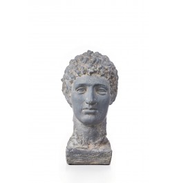 GRİ REÇİNE ÇİFT BAŞLI JANUS GRİ REÇİNE ÇİFT BAŞLI JANUS