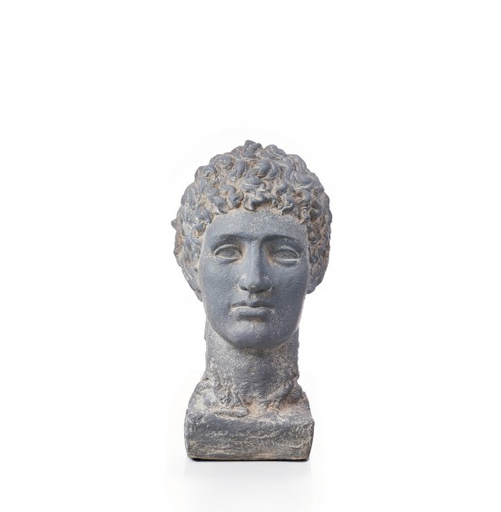 GRİ REÇİNE ÇİFT BAŞLI JANUS 