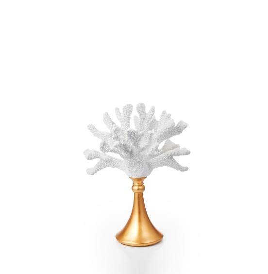 GOLD TABAN BEYAZ MERCAN 