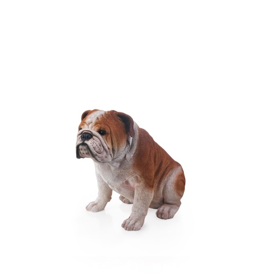 REÇİNE BULLDOG 