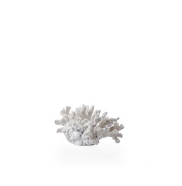 REÇİNE BEYAZ MERCAN  39x25x21CM