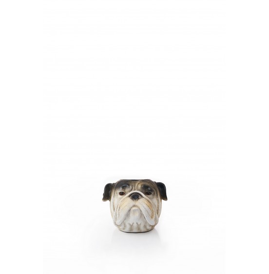 VAZO İNGİLİZ BULLDOG DEKOR  22CM