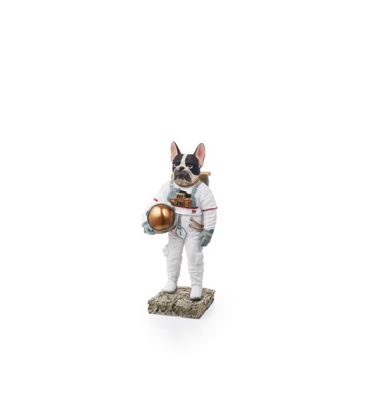 BULLDOG ASTRONOT