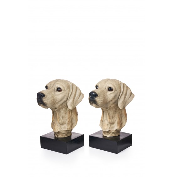 REÇİNE KÖPEK KAFASI KİTAP TUTACAĞI